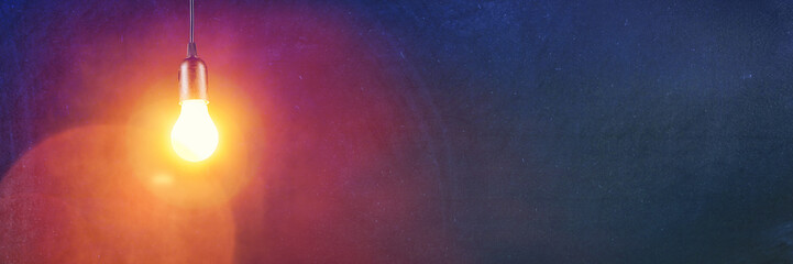 初一生物的知识点