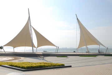 桂花的花期是多少天