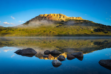 初一生物的知识点