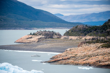 初一生物的知识点