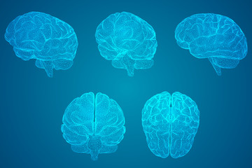 世界上十大奇异动物