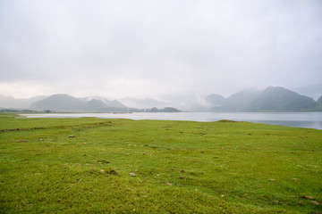 森林防火宣传标语十条分别是-