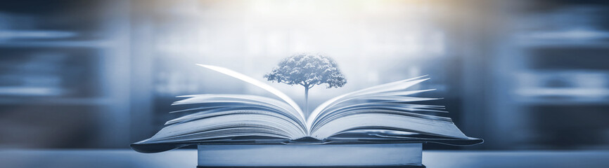 森林防火宣传标语十条分别是-