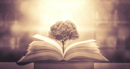 软文推广有哪些技巧？