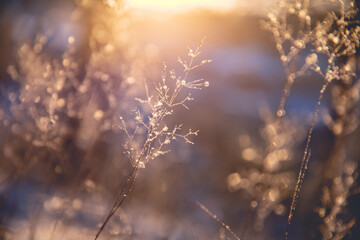 《红楼梦》人物描写是什么？