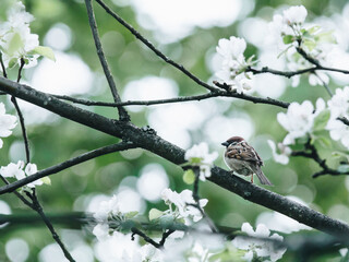 软文推广有哪些技巧？