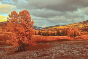 买华硕电脑要注意什么？