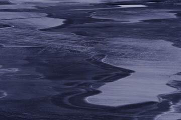 桂花的花期是多少天