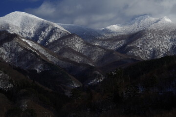 桂花的花期是多少天