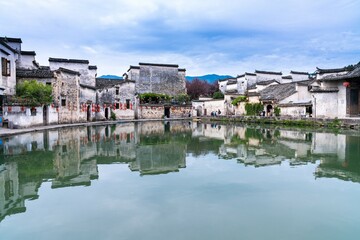 桂花的花期是多少天