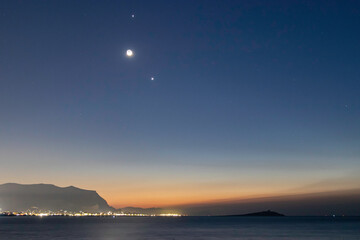 世界上十大奇异动物