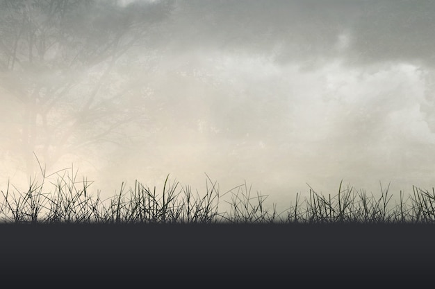 《红楼梦》人物描写是什么？