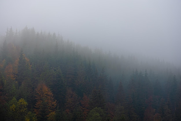 3-6岁儿童室内游戏