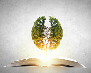 描写感恩的优美诗句