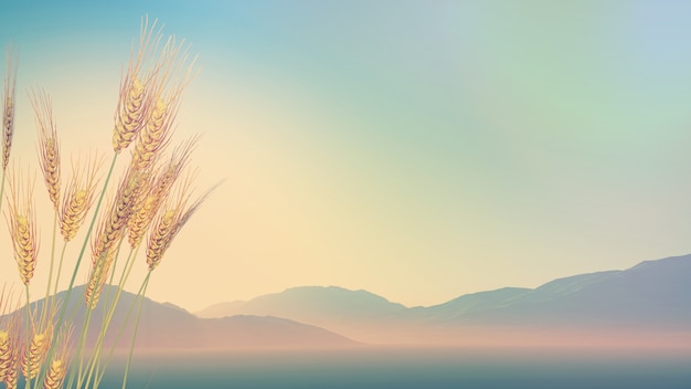 桂花的花期是多少天