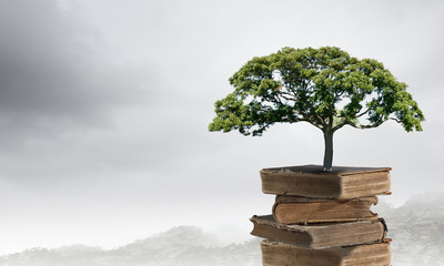 软文推广有哪些技巧？