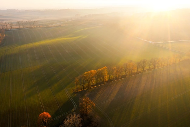 初一生物的知识点
