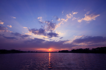 桂花的花期是多少天