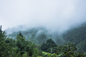《红楼梦》人物描写是什么？
